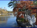 鶴岡八幡宮